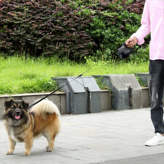 laisse pour chien retractable et petit chien