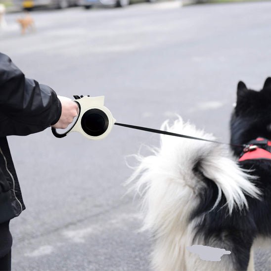 laisse pour chien retractable husky