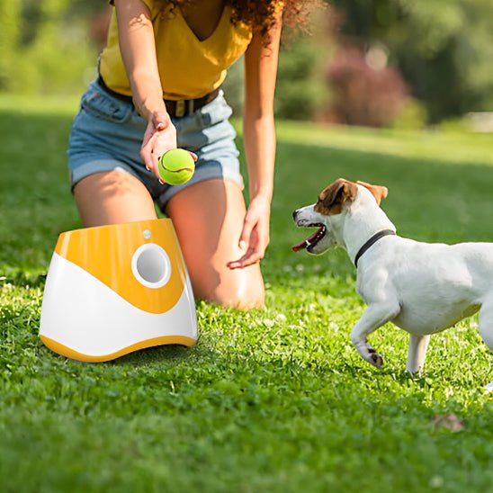 Lanceur de Balle Interactif 3 Modes - Pro - canin.com