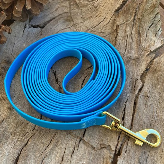 Longe pour chien bleu