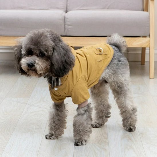 manteau a capuchon - Pro - canin.com