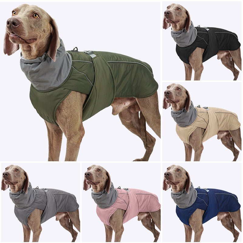 manteau a collet - Pro - canin.com