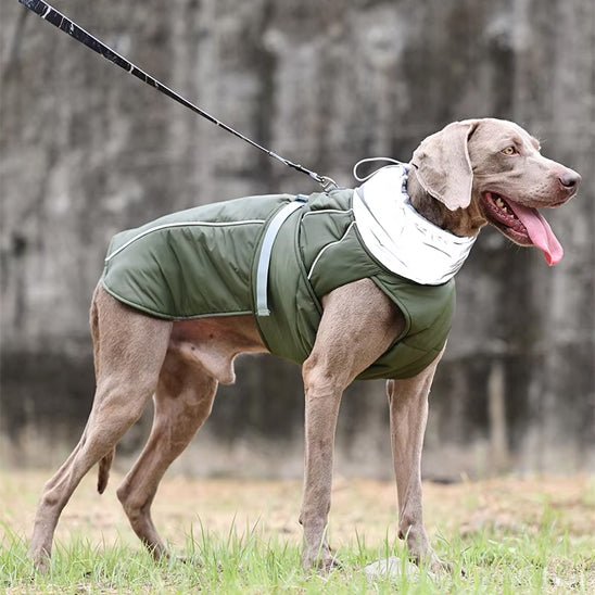 manteau a collet - Pro - canin.com