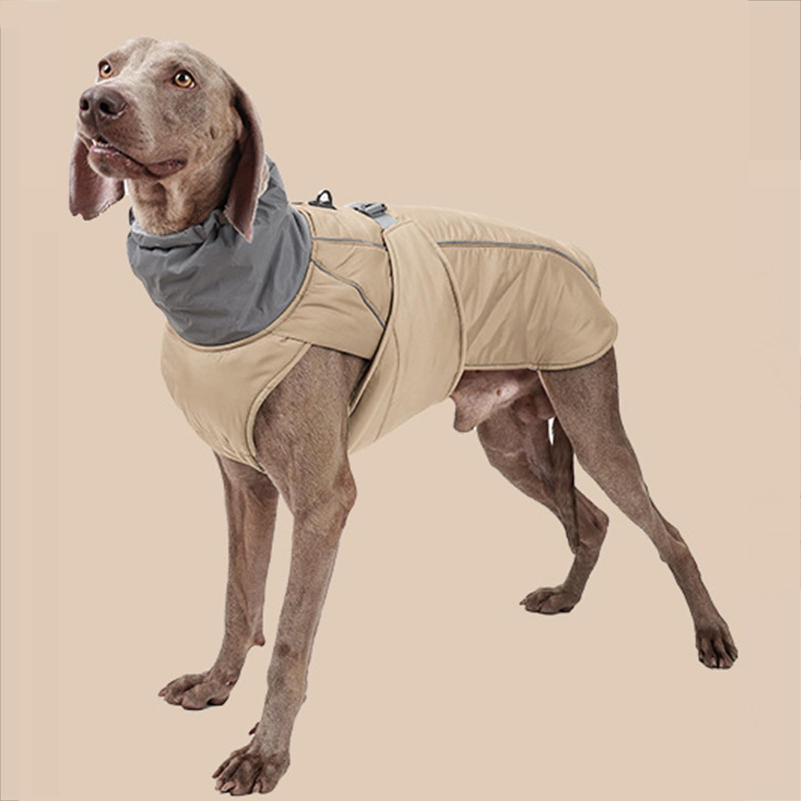 manteau a collet - Pro - canin.com