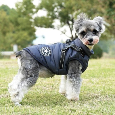 Manteau Chien | Harnais Confort 