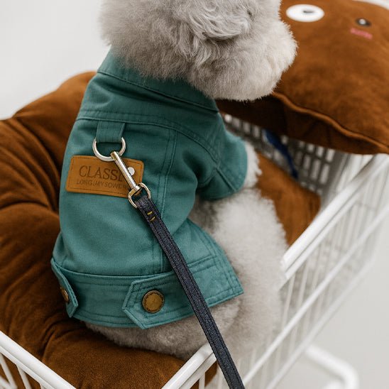 manteau en denim chien assis