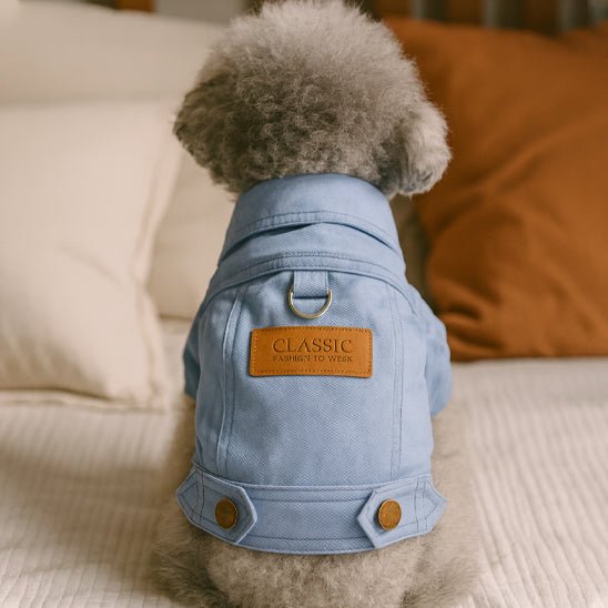 manteau en denim chien bleu