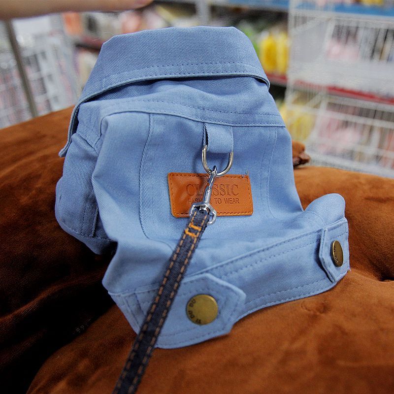 manteau en denim chien démo