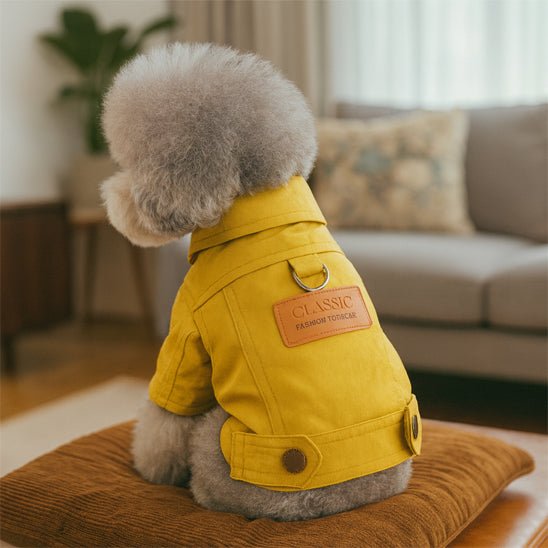 manteau en denim chien jaune
