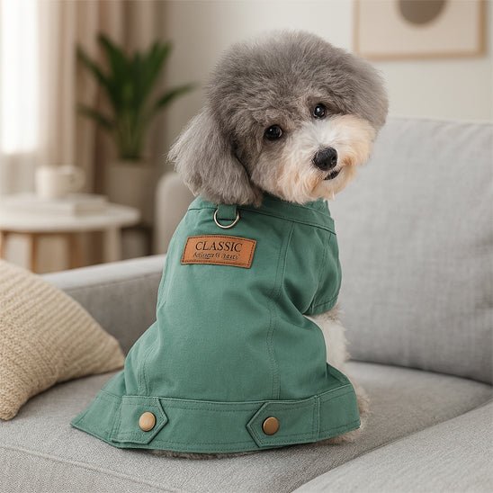 manteau en denim chien vert