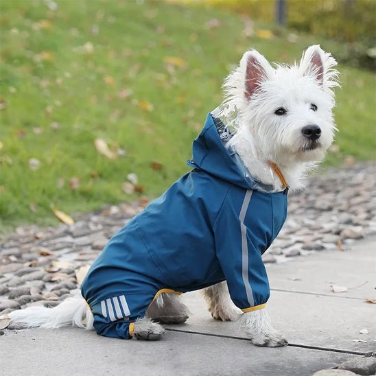 MANTEAU IMPERMÉABLE POUR CHIEN assis bleu