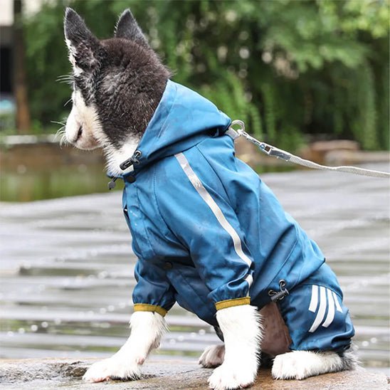 MANTEAU IMPERMÉABLE POUR CHIEN husky