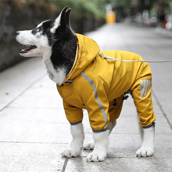 MANTEAU IMPERMÉABLE POUR CHIEN jaune