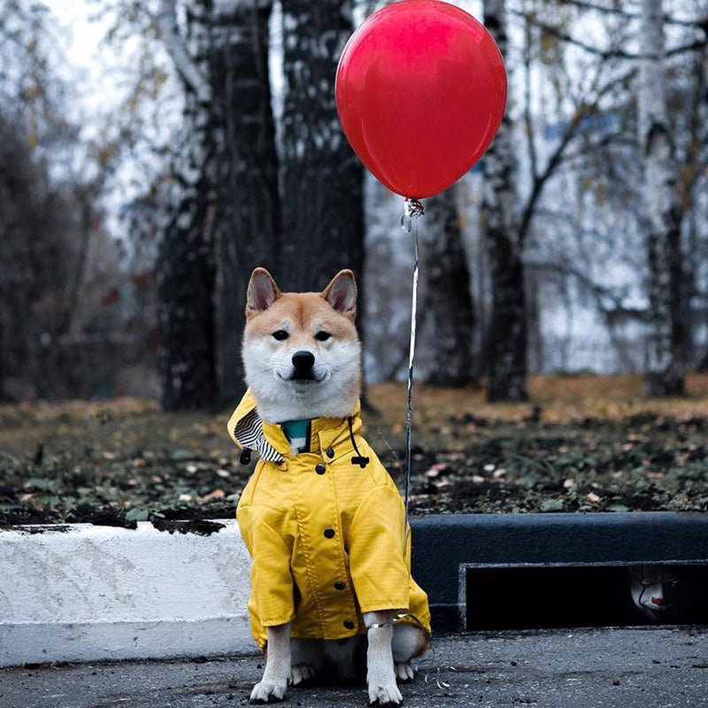 manteau pour chien - Pro - canin.com