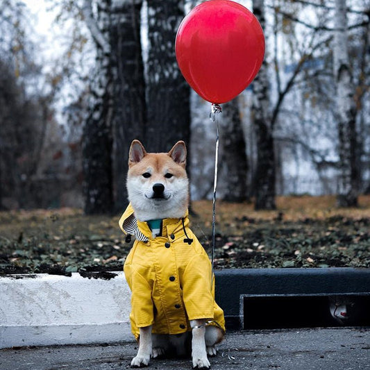 manteau pour chien - Pro - canin.com