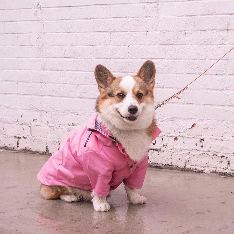 manteau pour chien - Pro - canin.com