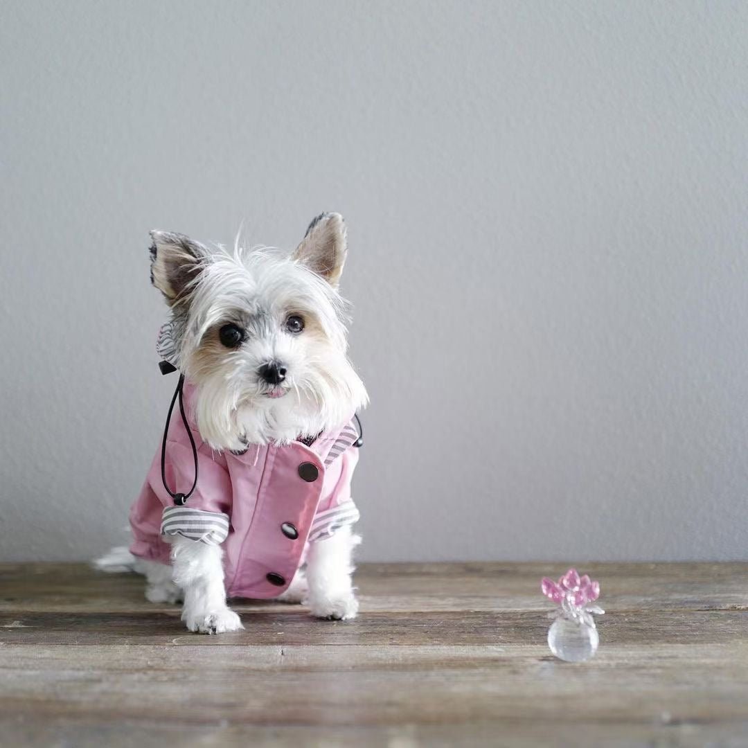 manteau pour chien - Pro - canin.com