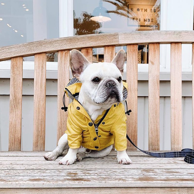 manteau pour chien - Pro - canin.com
