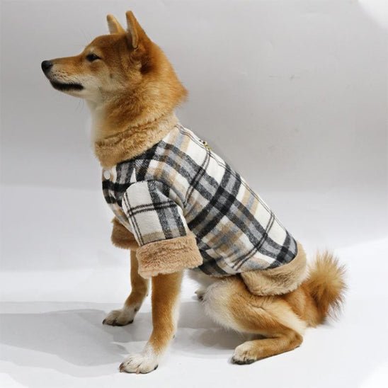 manteau treillis
