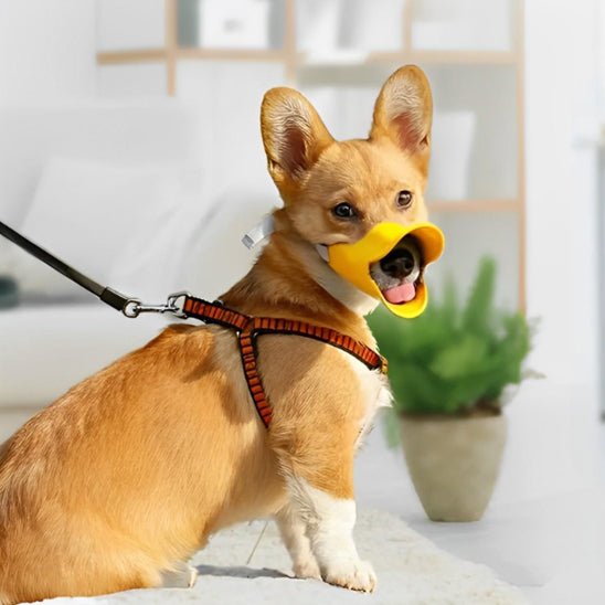 muselière bec de canard - Pro - canin.com