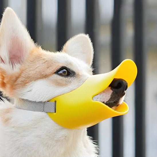 muselière bec de canard - Pro - canin.com