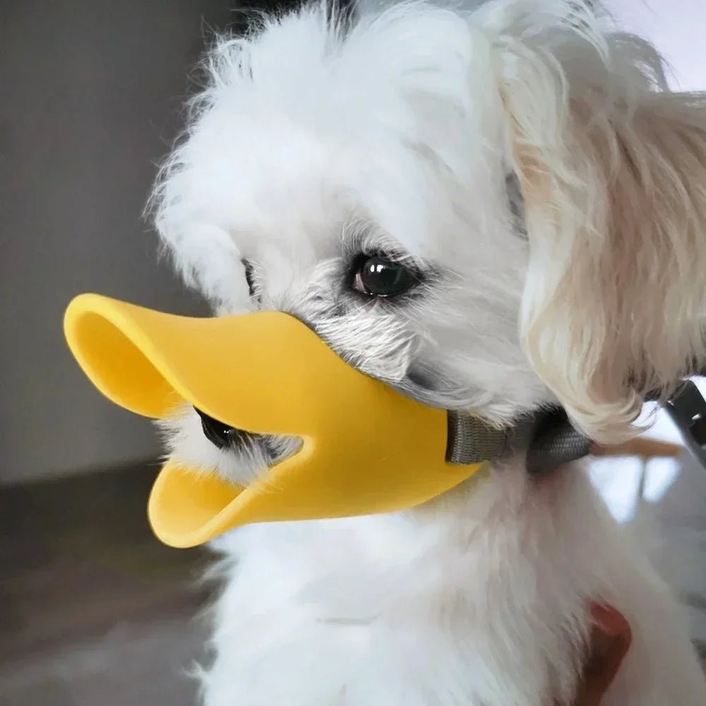 muselière bec de canard - Pro - canin.com