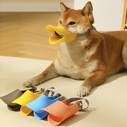 muselière bec de canard - Pro - canin.com