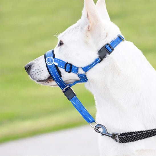 muselière en nylon - Pro - canin.com