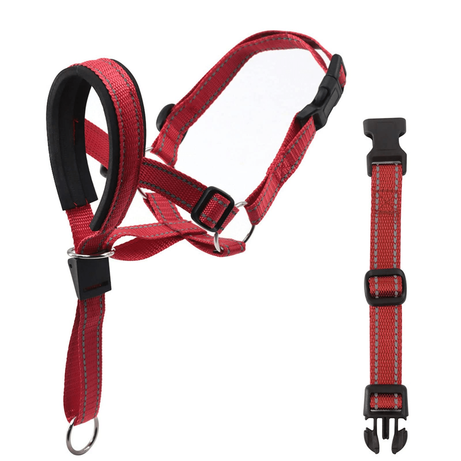 muselière en nylon - Pro - canin.com