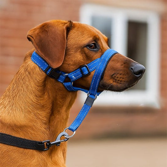 muselière en nylon - Pro - canin.com