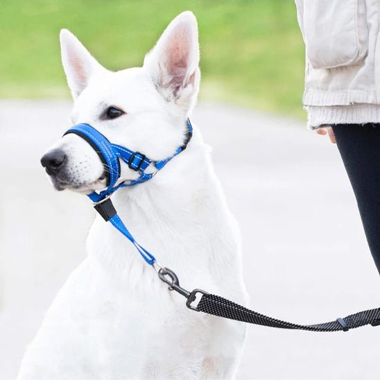 muselière en nylon - Pro - canin.com
