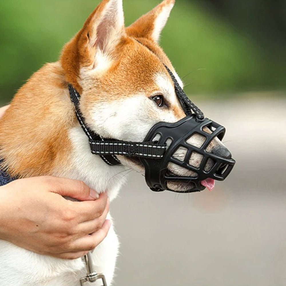 Muselière flexible en silicone - Pro - canin.com