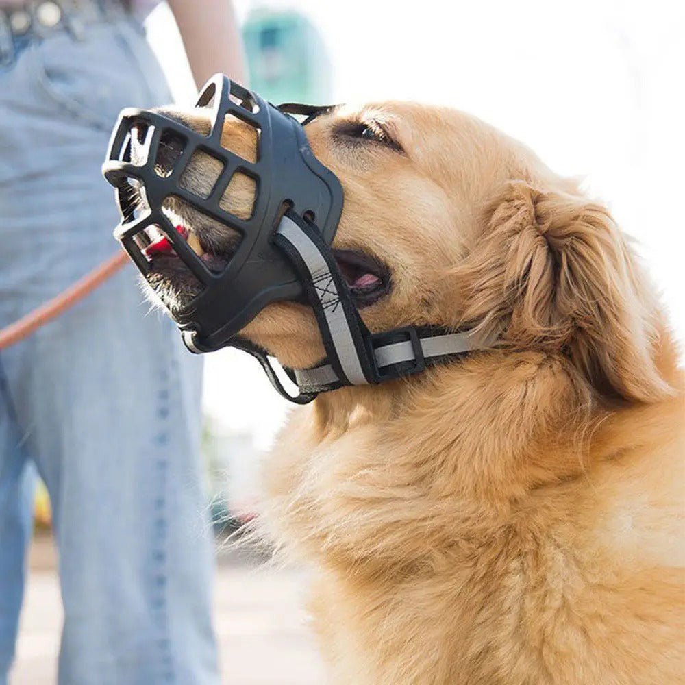 Muselière flexible en silicone - Pro - canin.com