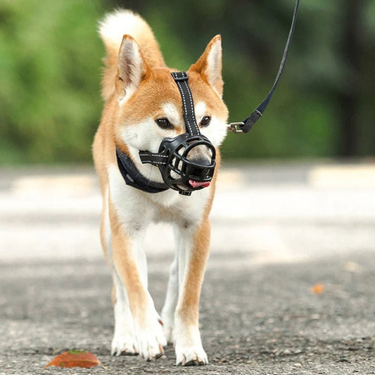Muselière flexible en silicone - Pro - canin.com