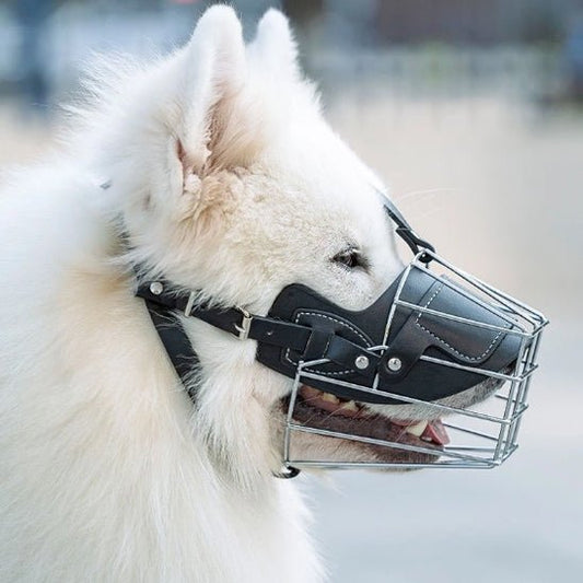 muselière masque buccal - Pro - canin.com