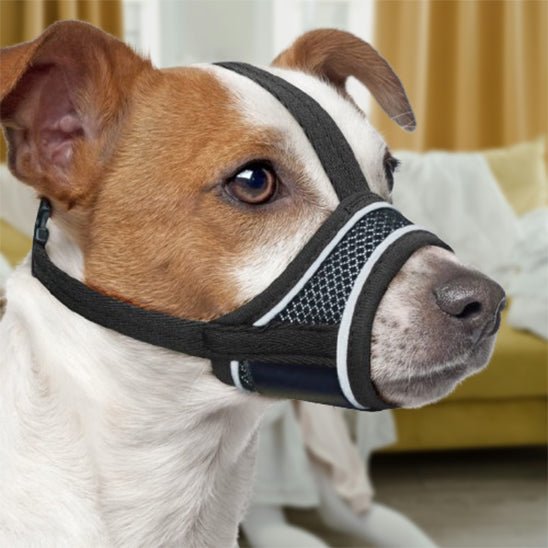 muselière respirante - Pro - canin.com