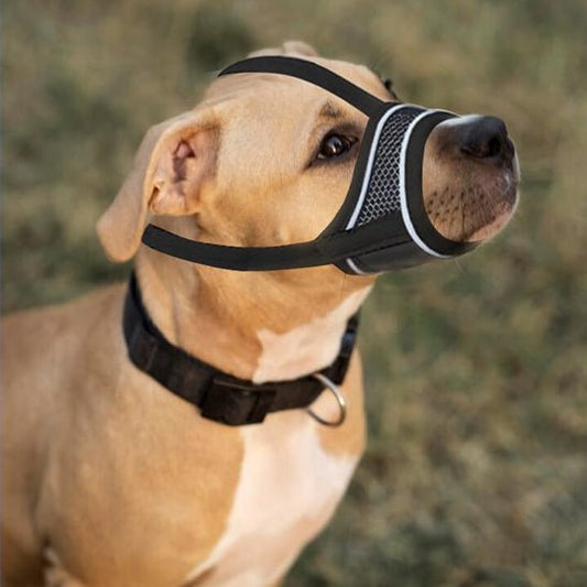 muselière respirante - Pro - canin.com