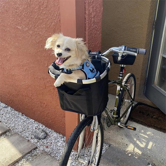 Panier velo chien et petit chien beige