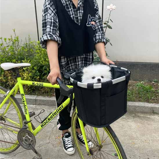 Panier velo chien noir sur vélo vert