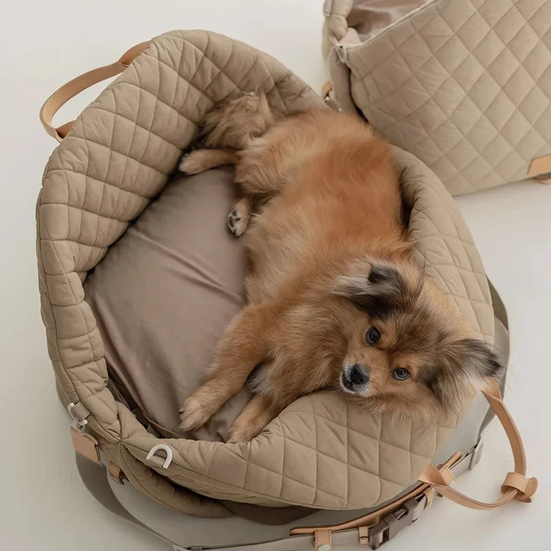 Pomeranian couché dans un sac de transport