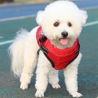 Manteau Chien | HarnaisConfort