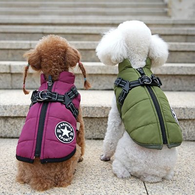 Manteau Chien | HarnaisConfort