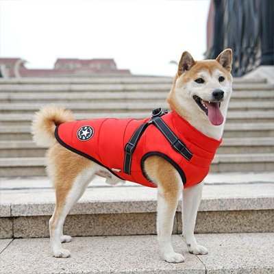 Manteau Chien | HarnaisConfort