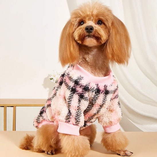 pull chien| laine - Pro - canin.com