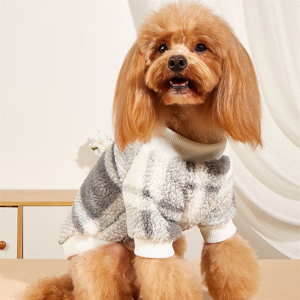 pull chien| laine - Pro - canin.com