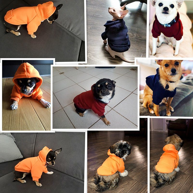 pull pour chien et chat