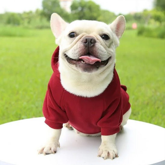 pull pour chien rouge