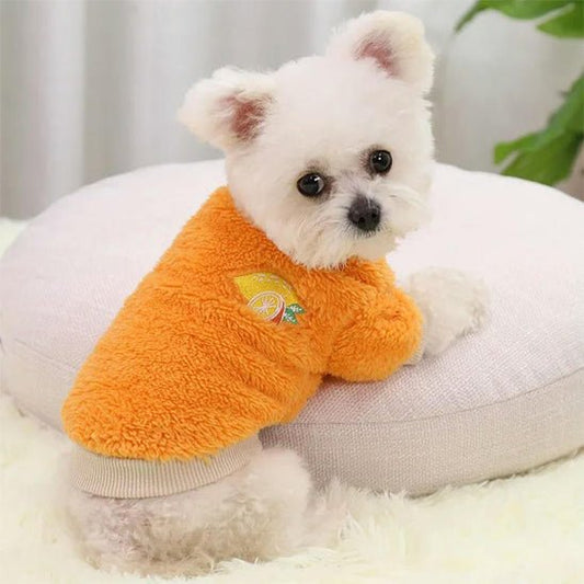 pull pour chien |vêtement - Pro - canin.com