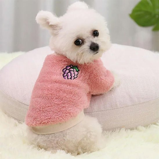 pull pour chien |vêtement - Pro - canin.com