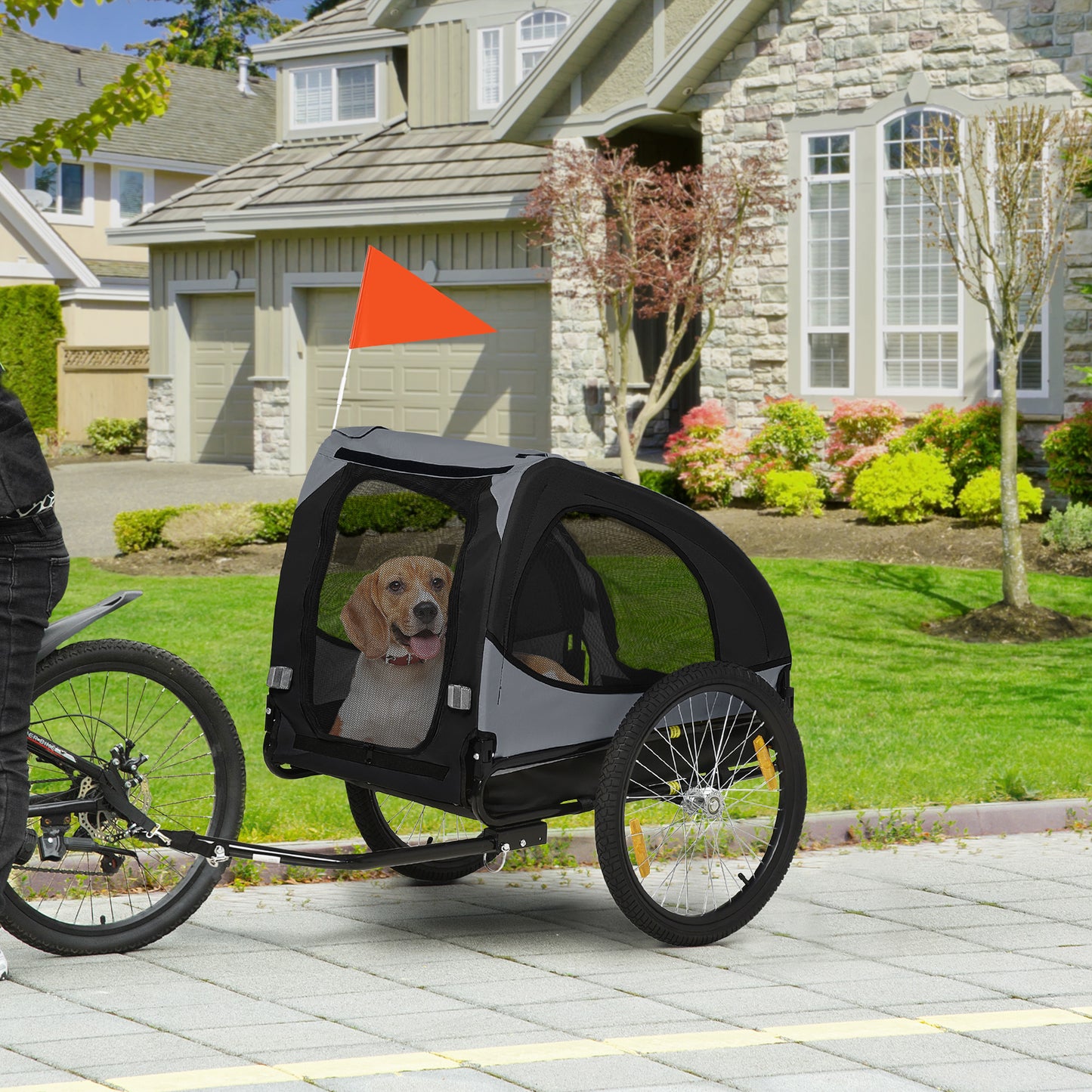 remorque pawhut traqueté par un vélo